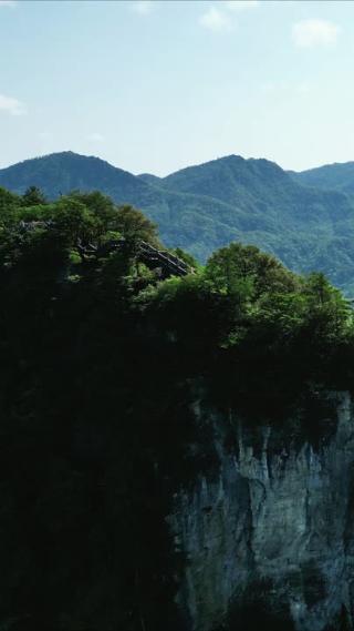 绿色植物森林祖国大好河山航拍