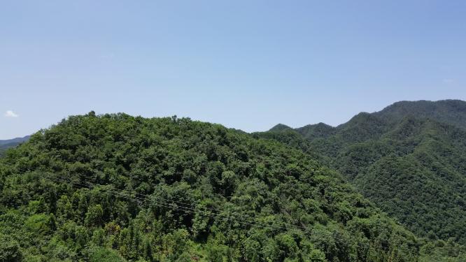绿色植物森林祖国大好河山航拍