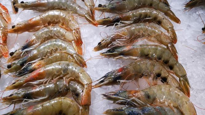 生鲜海鲜花甲基围虾龙虾螃蟹鱼