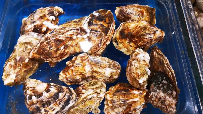 生鲜海鲜花甲基围虾龙虾螃蟹鱼