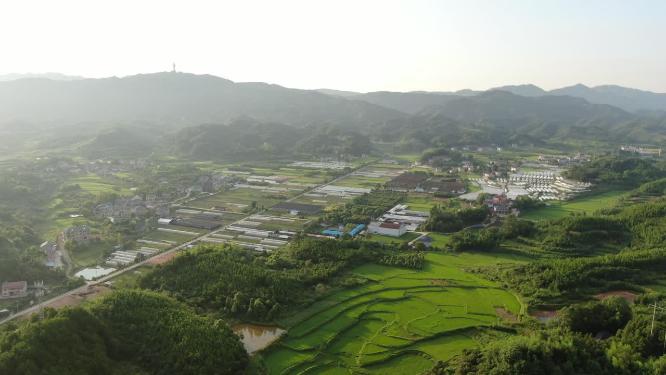 航拍美丽乡村绿色田园农业种植稻田