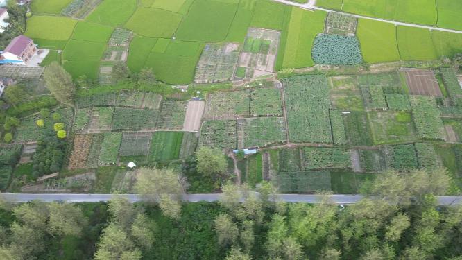 美丽乡村农田农业种植航拍