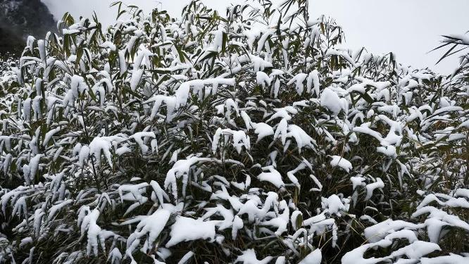 冬天雪景雾凇贵州梵净山