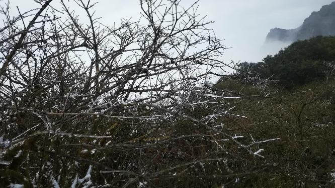 冬天雪景雾凇贵州梵净山