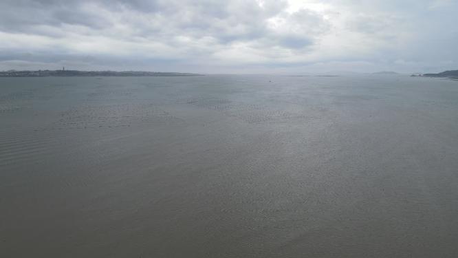 大海海洋渔船码头沙滩礁石航拍