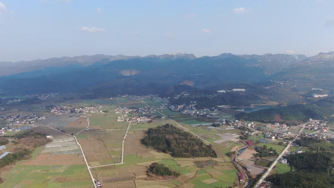 农业种植农田水稻航拍