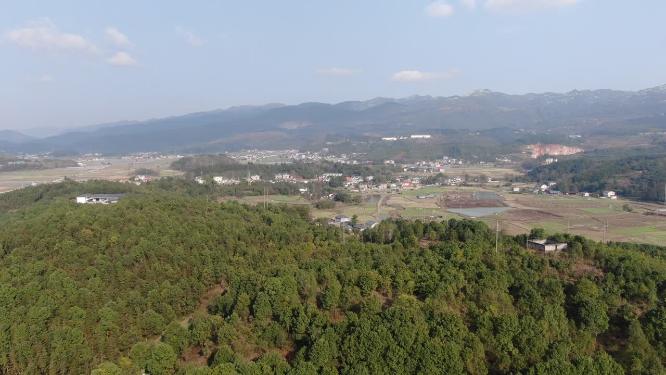农业种植农田水稻航拍