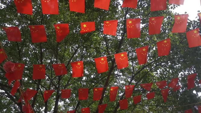 城市迎风飘扬小国旗实拍