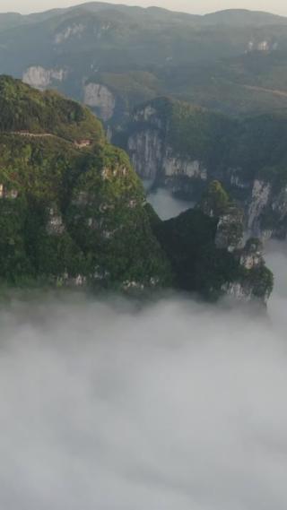 湖南湘西矮寨奇观云海日出竖屏航拍