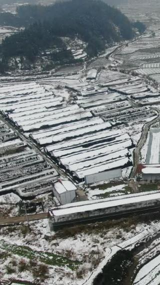 航拍农业种植农田冬天雪景