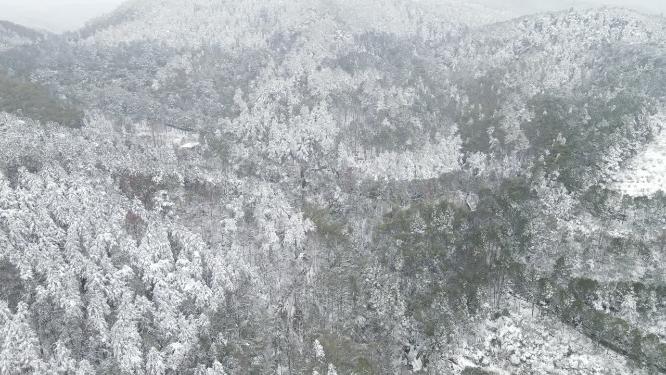 航拍绿色植物森林冬天雪景