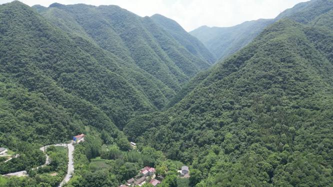绿色植物森林祖国大好河山航拍