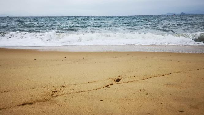 大海海浪沙滩浪花实拍