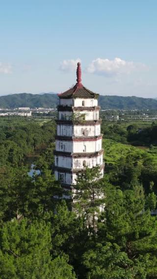 江西瑞金共和国摇篮5A景区竖屏航拍6