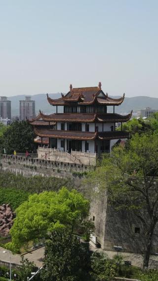 湖南长沙天心阁城市风光竖屏航拍