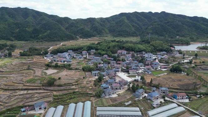 美丽乡村田园农业种植航拍秋收