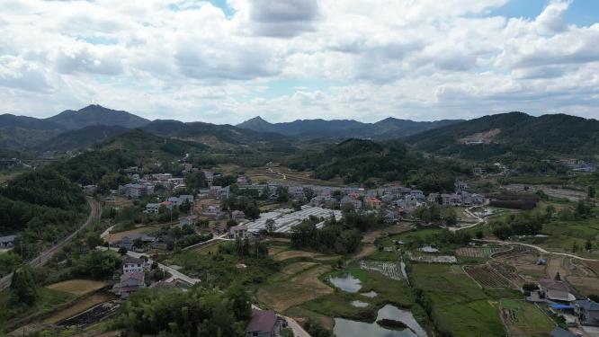 美丽乡村田园农业种植航拍秋收