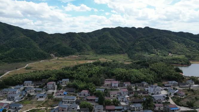 美丽乡村田园农业种植航拍秋收