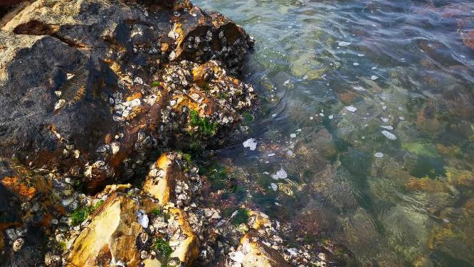 大海海浪沙滩礁石自然风光