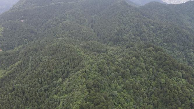 湖南怀化中坡山森林公园航拍