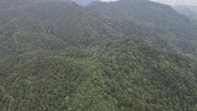 湖南怀化中坡山森林公园航拍