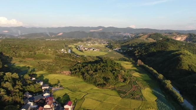 秋收金黄稻田美丽乡村丘陵山川航拍