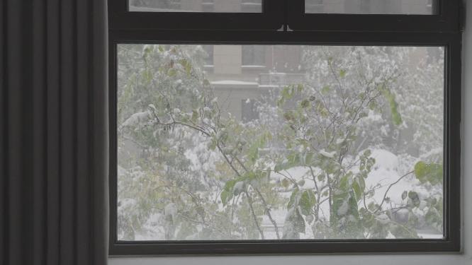 4k升格拍摄窗外飘雪的唯美镜头 