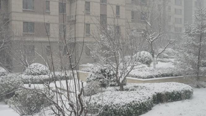 4k拍摄下雪，城市冬天小区雪中的唯美镜头