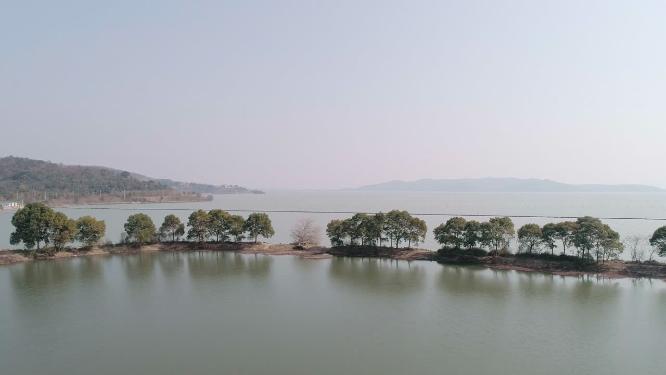 4K航拍，晴朗的天气，春天的太湖湖面和湖边的绿色的树木的风景