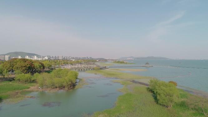 4k航拍，苏州吴中区，太湖。湖边湿地，绿植和树木。远眺太湖新天地生态休闲公园。