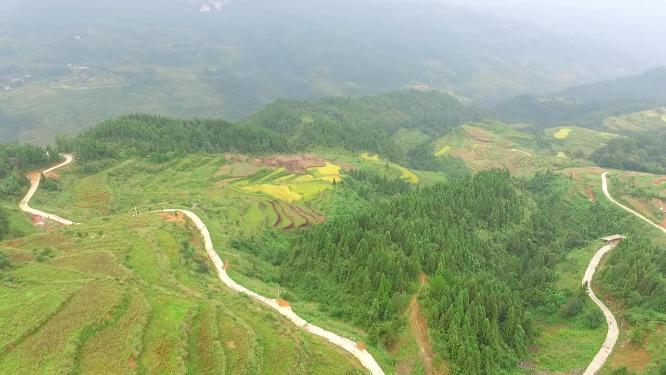 龙山