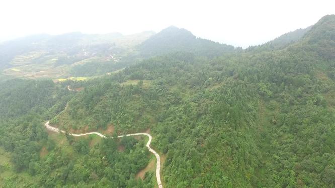 龙山