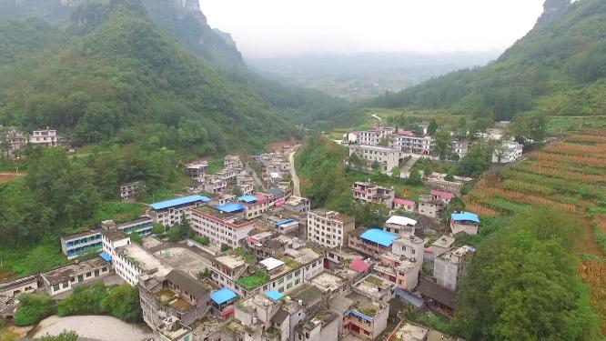 龙山