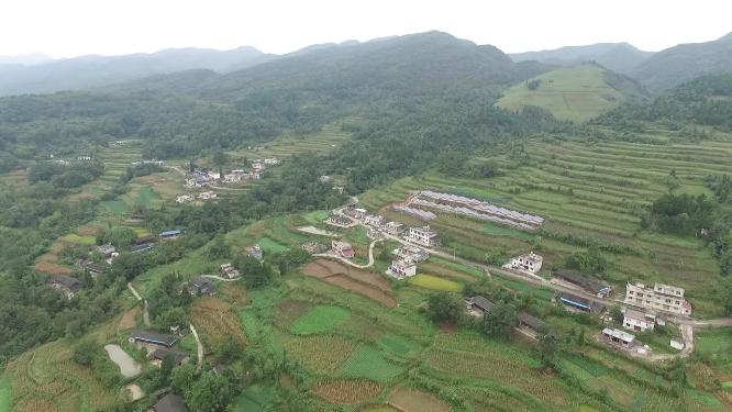 龙山