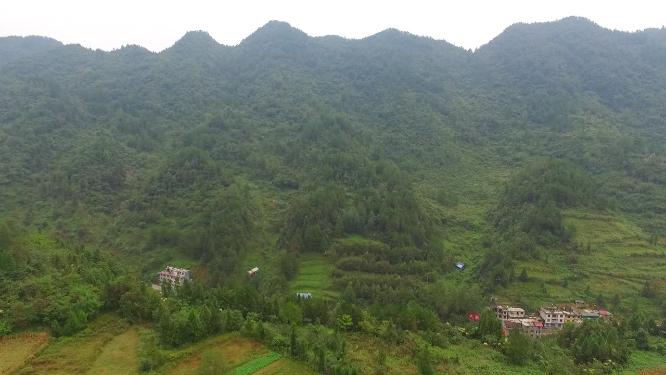 龙山