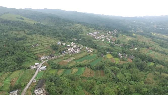 龙山