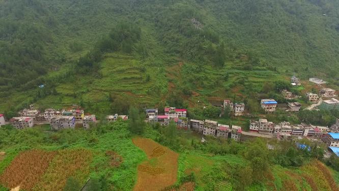 龙山