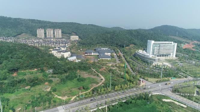 大王山