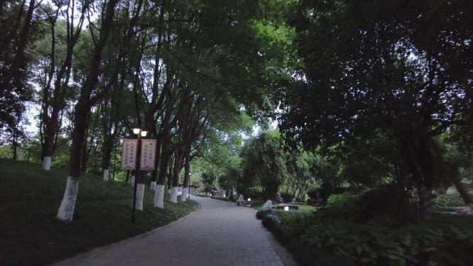 傍晚公园空镜头