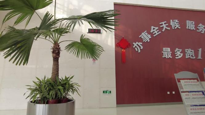 办事大厅总服务台展示