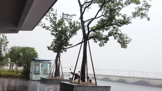 杭州钱塘江江东大桥下暴雨视频素材