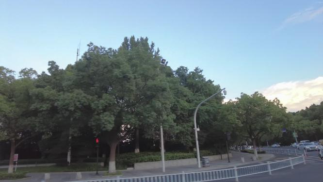汽车窗外的景色开车第一视角