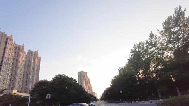 汽车窗外的树林和高楼大厦