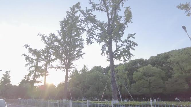 汽车窗外风景城市夕阳西下