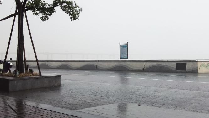 钱塘江下暴雨树枝摇晃空镜头