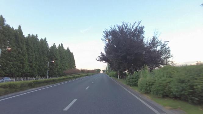 钱塘江边开车第一视角