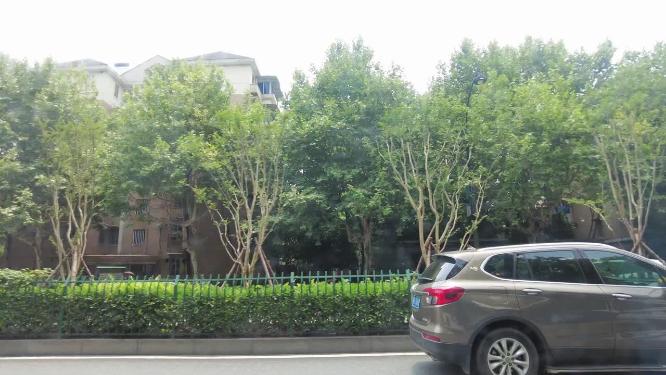 马路城市车辆车流