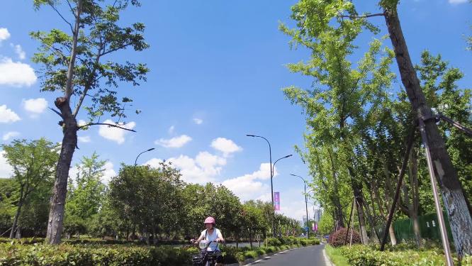 马路风景特写