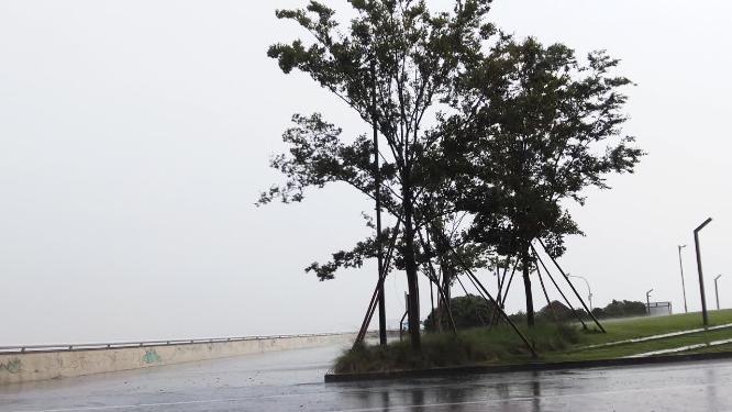 杭州钱塘江江边下暴雨视频素材