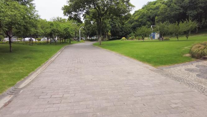 公园树林小道路运镜空镜头